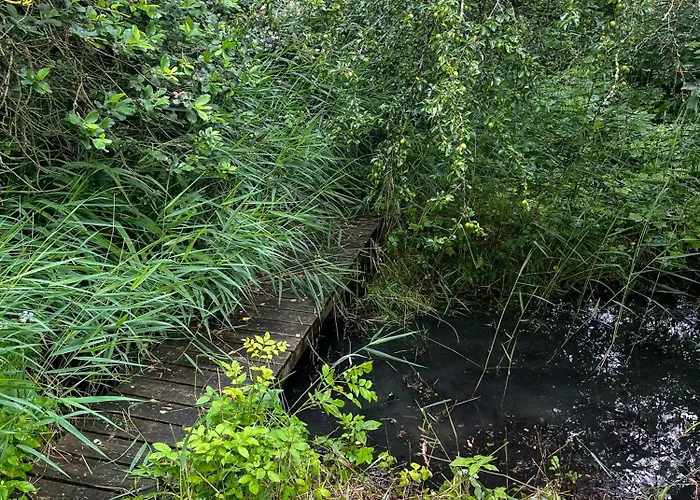 Nature-rich 60s By Isefjord * Jægerspris